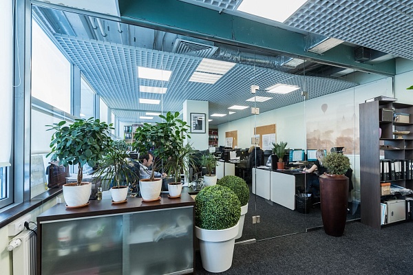 Офис AMJ-GROUP со стеклянными стенами