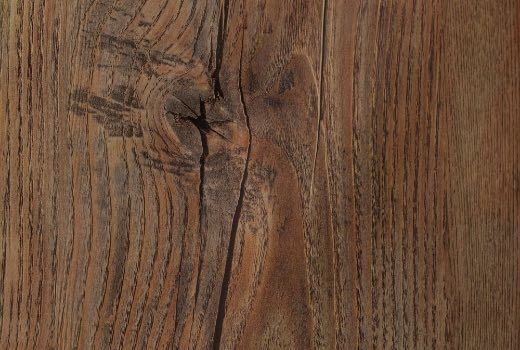 Славянский дуб 0633 (FRS)