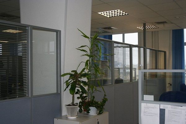 Алюминиевые двери для Ростелеком