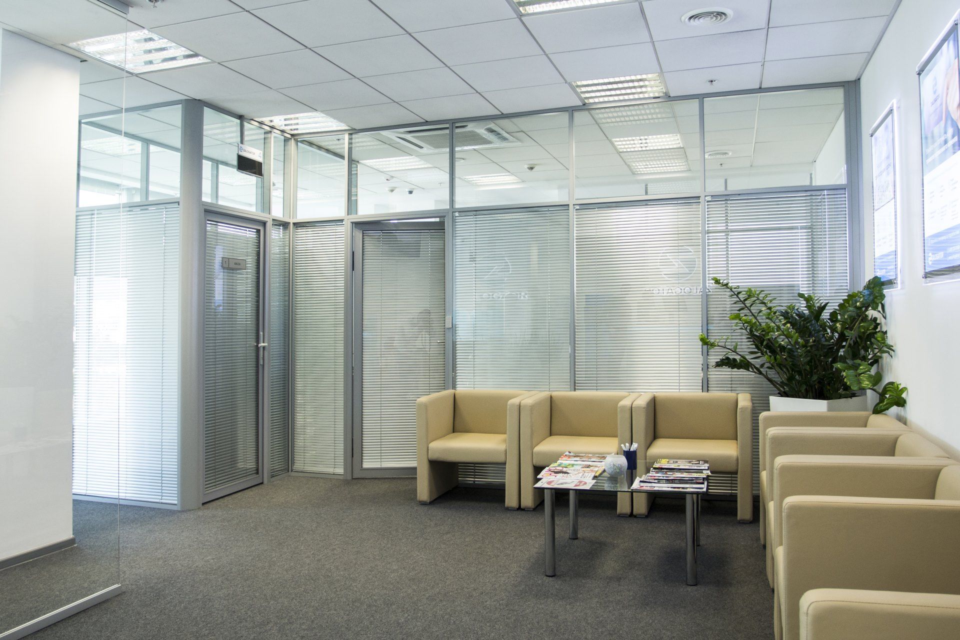 Стационарные перегородки для кабинетов в офисе «Франк Нева»