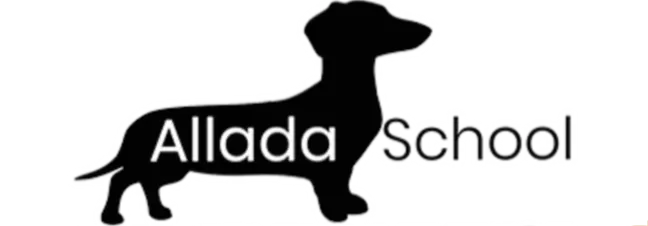 Логотип - Сеть языковых школ Allada School